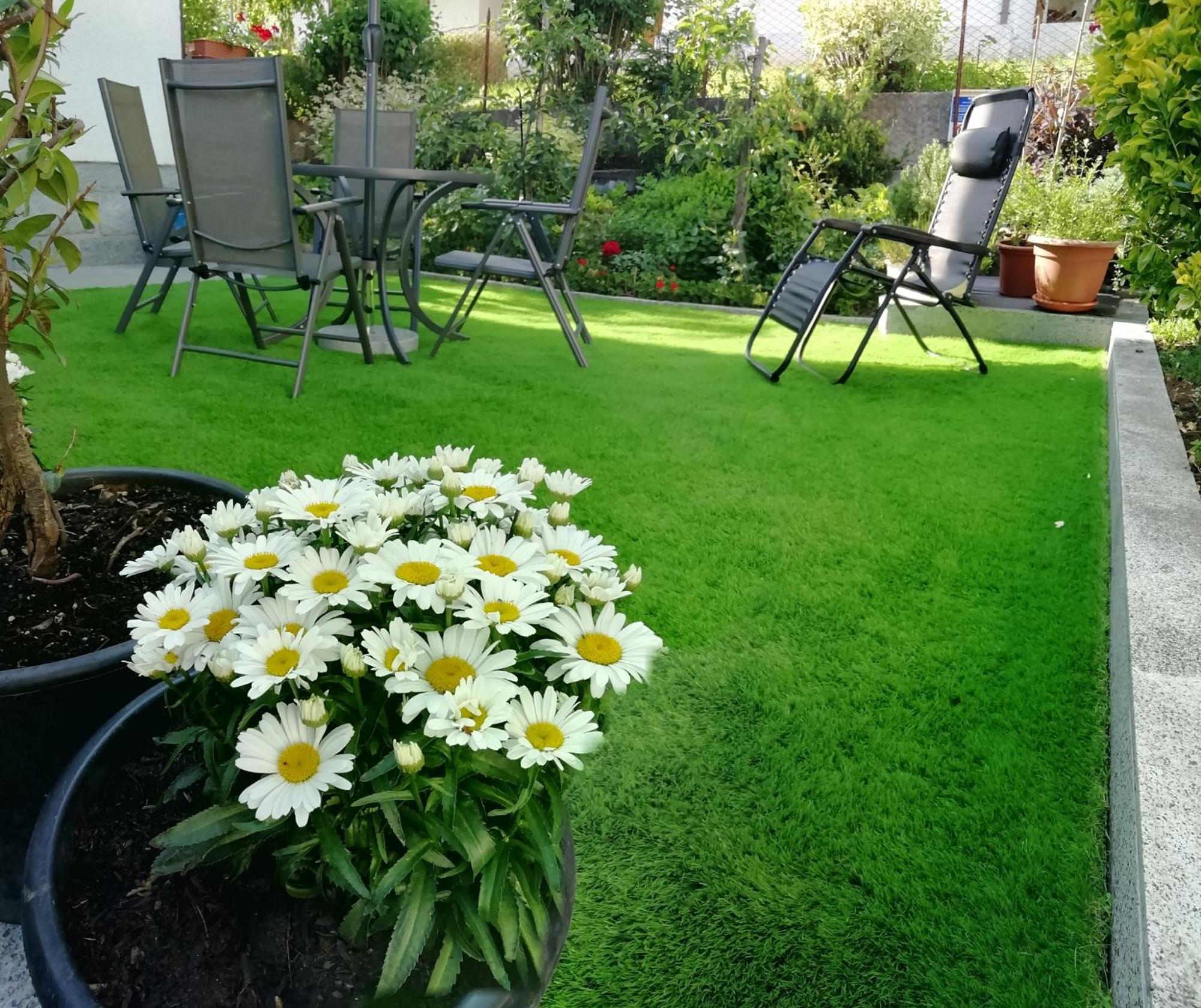 Appartamento Con Giardino Carisolo Exteriér fotografie